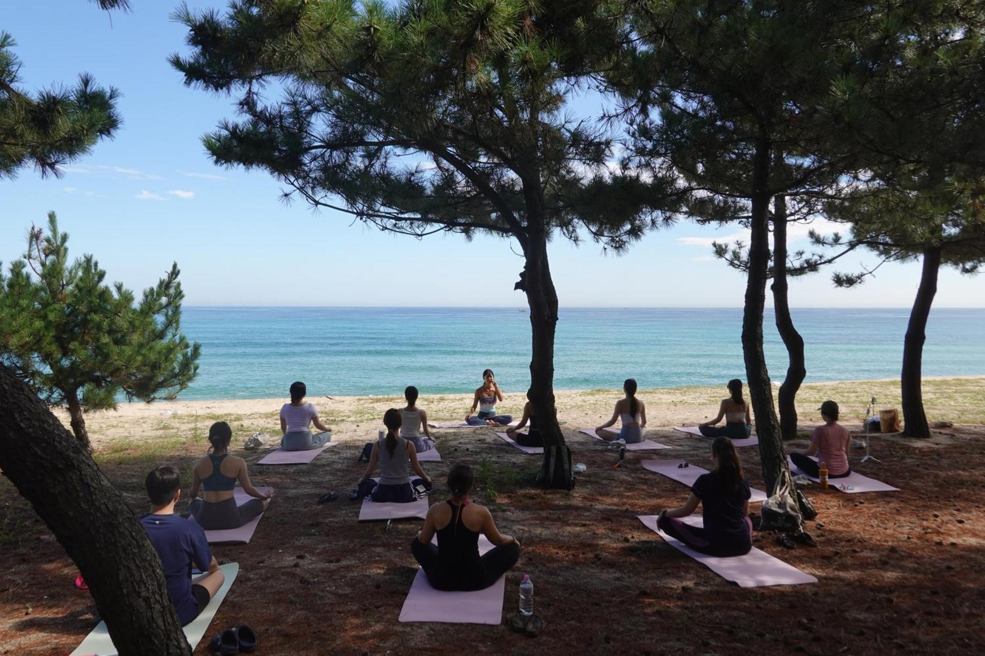 Weekenders Hotell Gangneung Eksteriør bilde